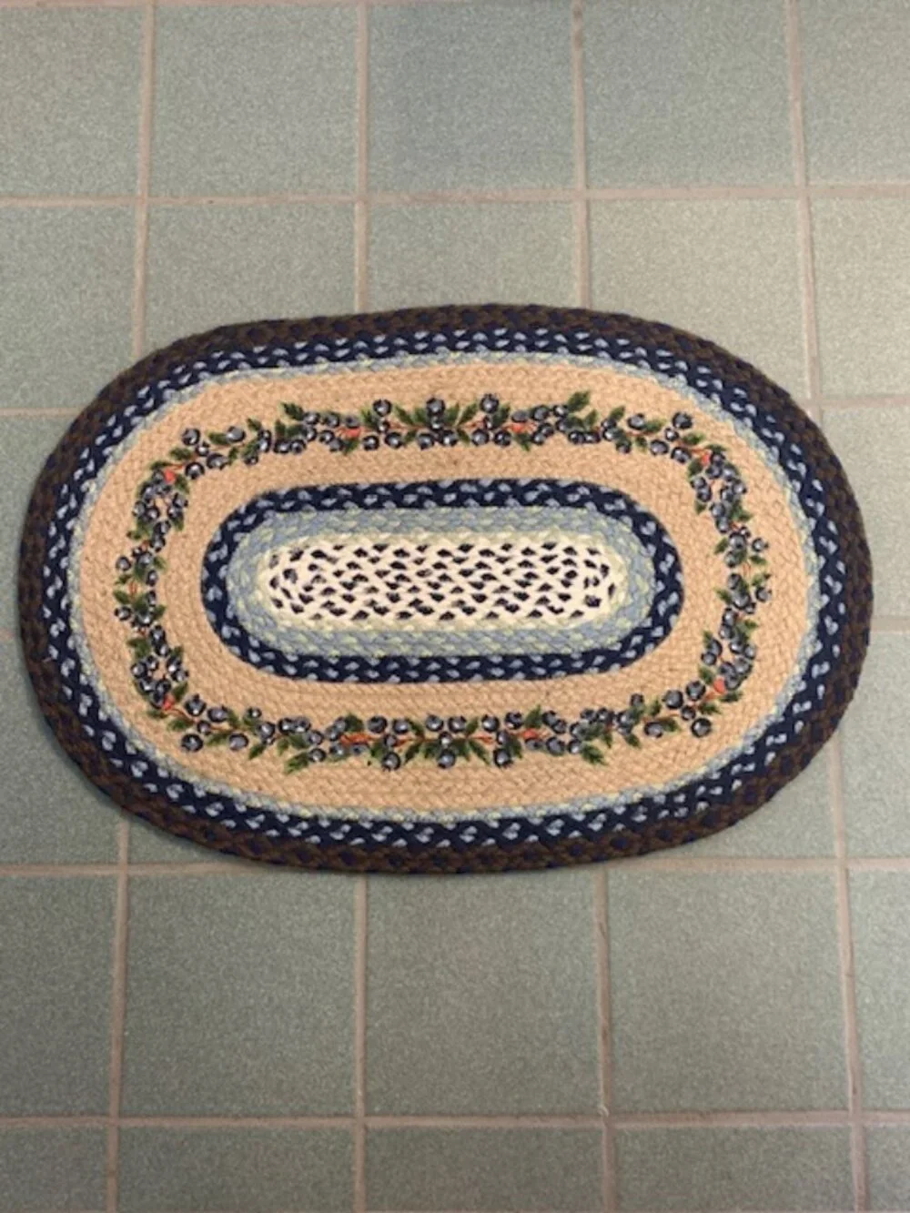 Blueberry 20 x 20 Accent Rug